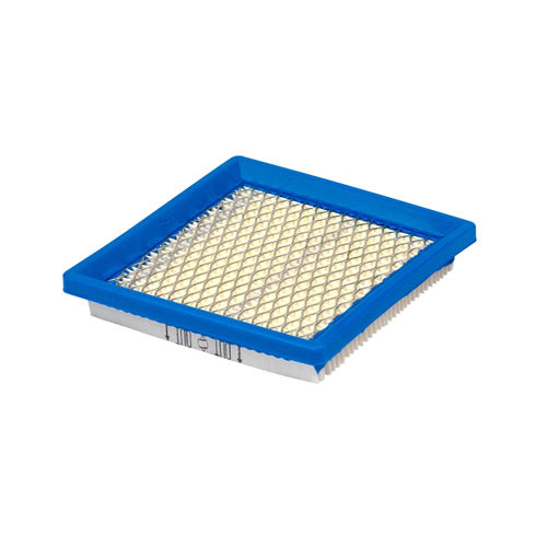 Briggs & Stratton 399877 Air Filter