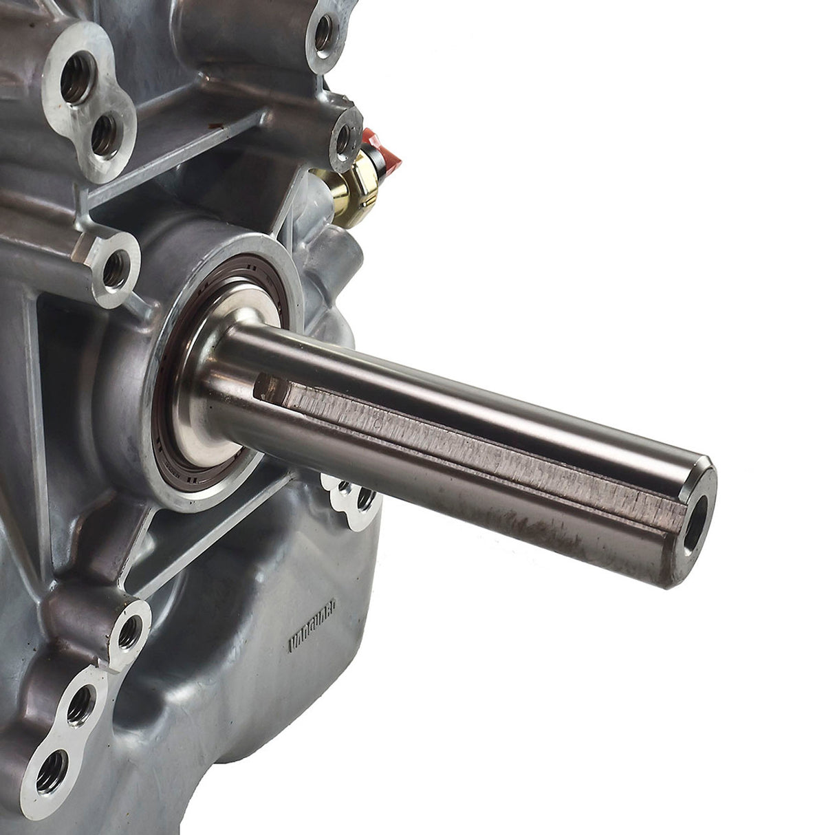 Vanguard 40HP EFI V-Twin Petrol Engine - Heavy Duty Air Filter