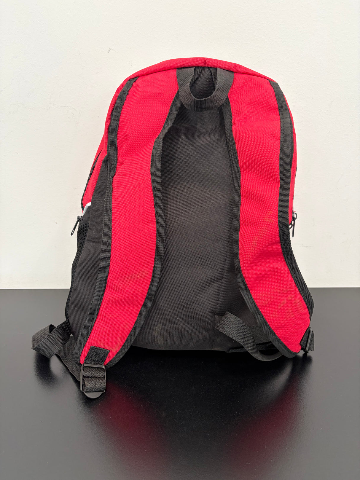 Genuine Briggs & Stratton Backpack