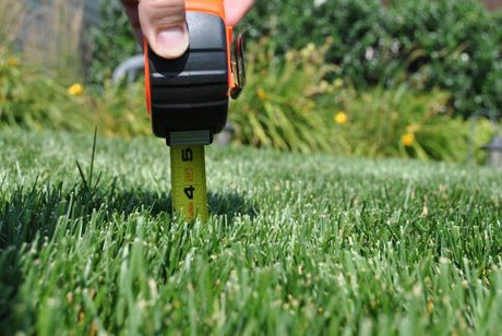 Maintaining Your Lawn Over The Summer Months