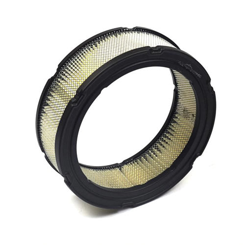 Briggs & Stratton 394018S Air Filter